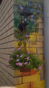 20170822_113136