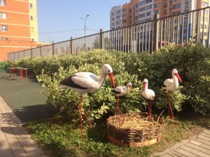 IMG-20170823-WA0019